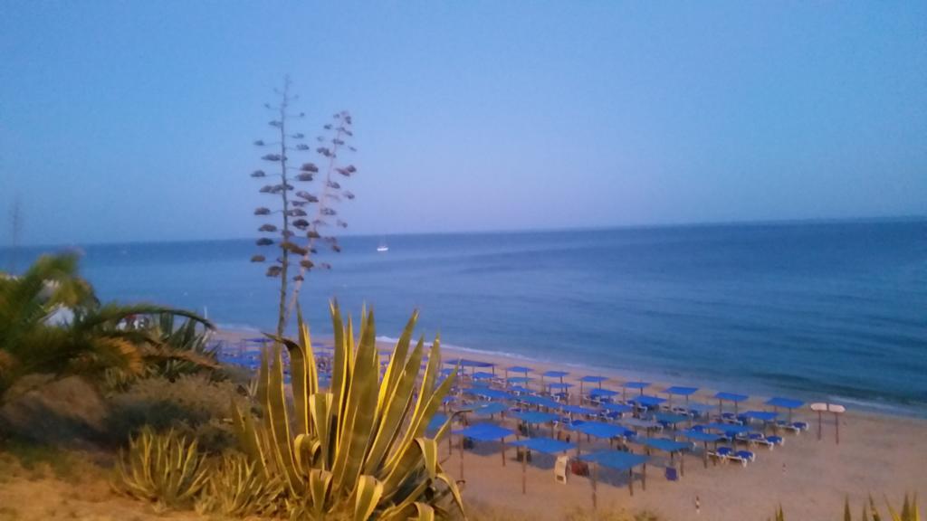 Armador Apartment Armação de Pêra Dış mekan fotoğraf